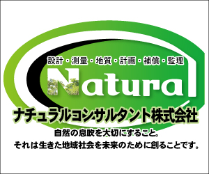 トップページ広告バナー：ナチュラルコンサルタント（トップ3：その2）