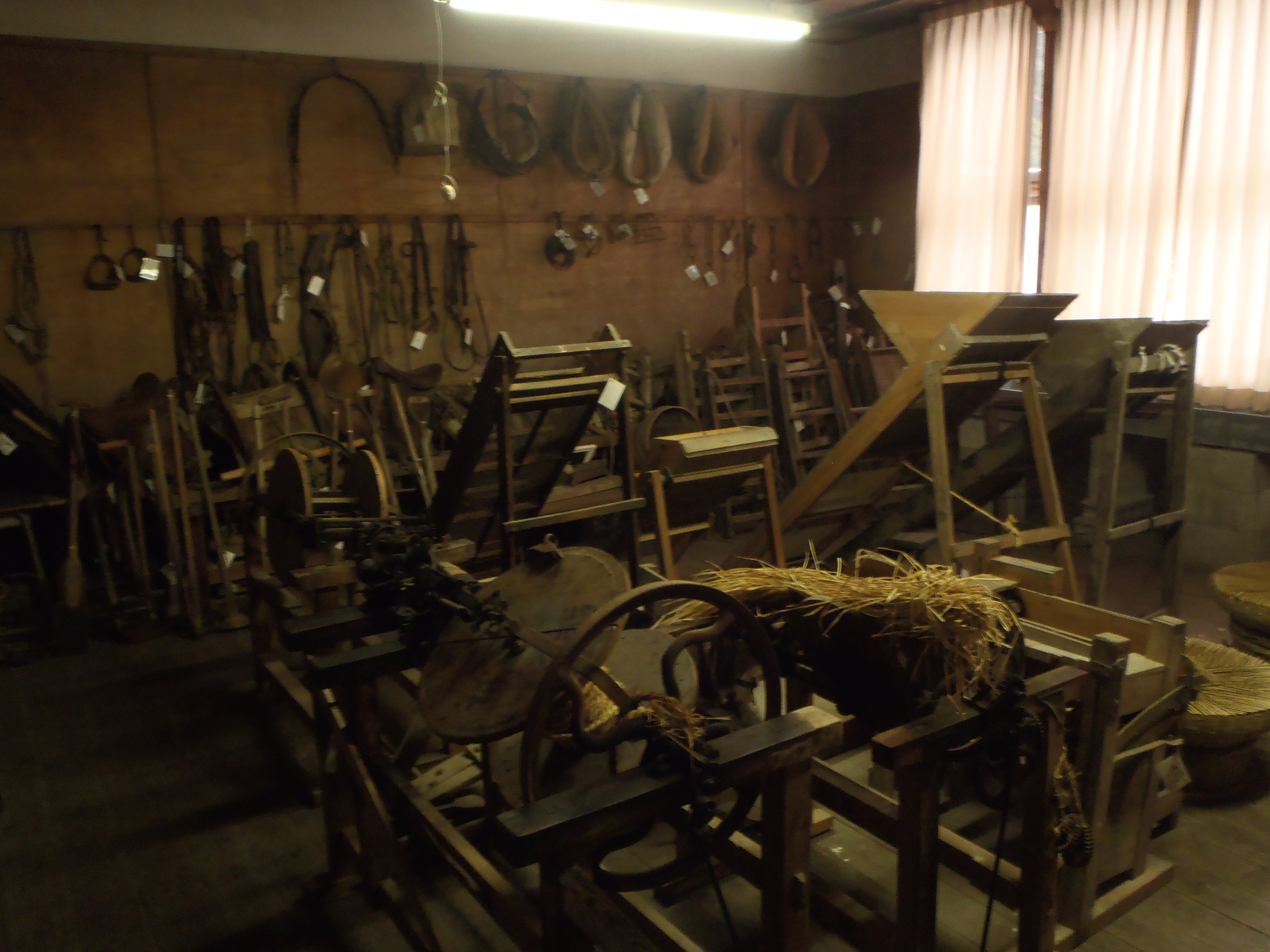 歴史民俗資料収蔵庫の画像2