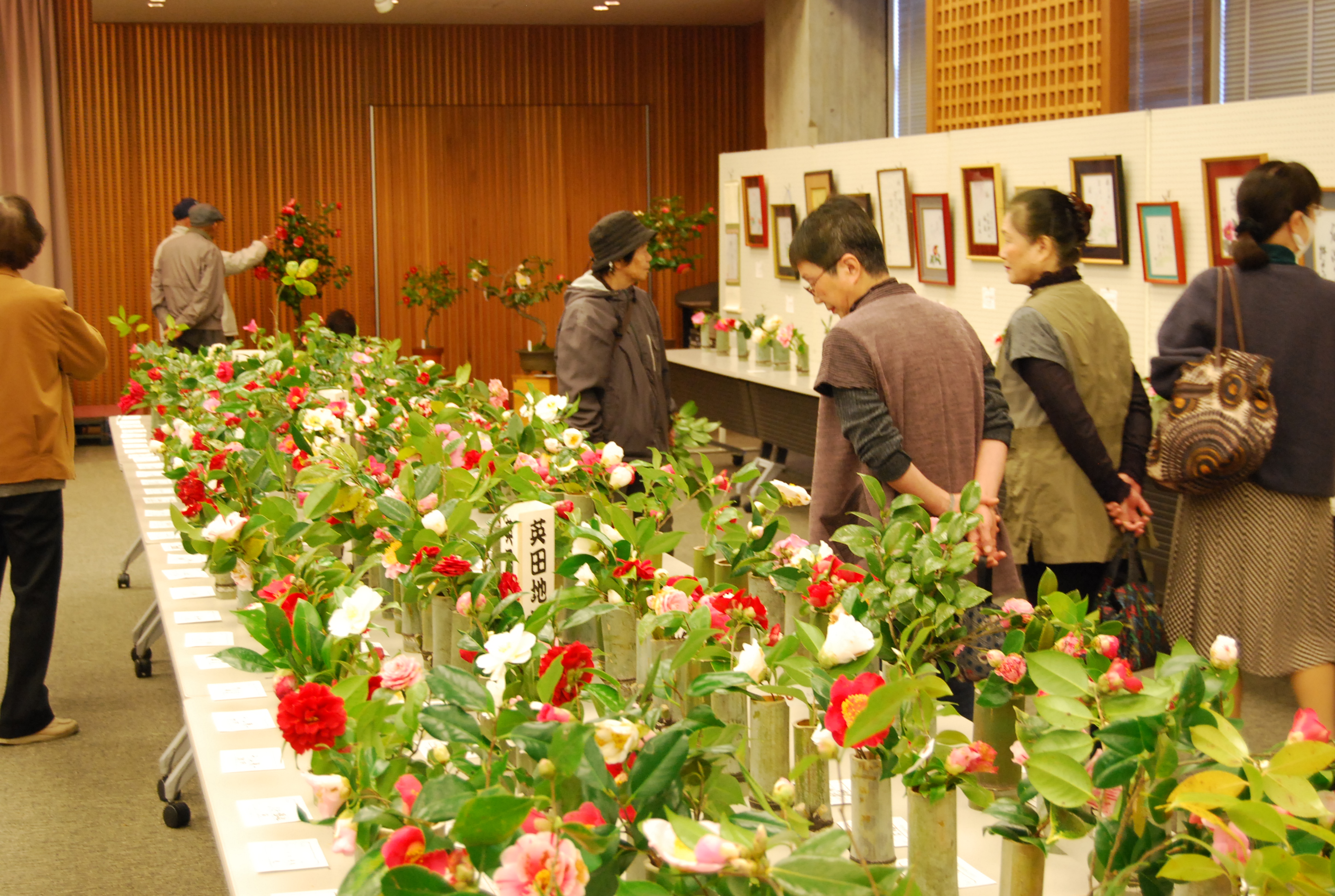 第43回津幡町椿展の画像3
