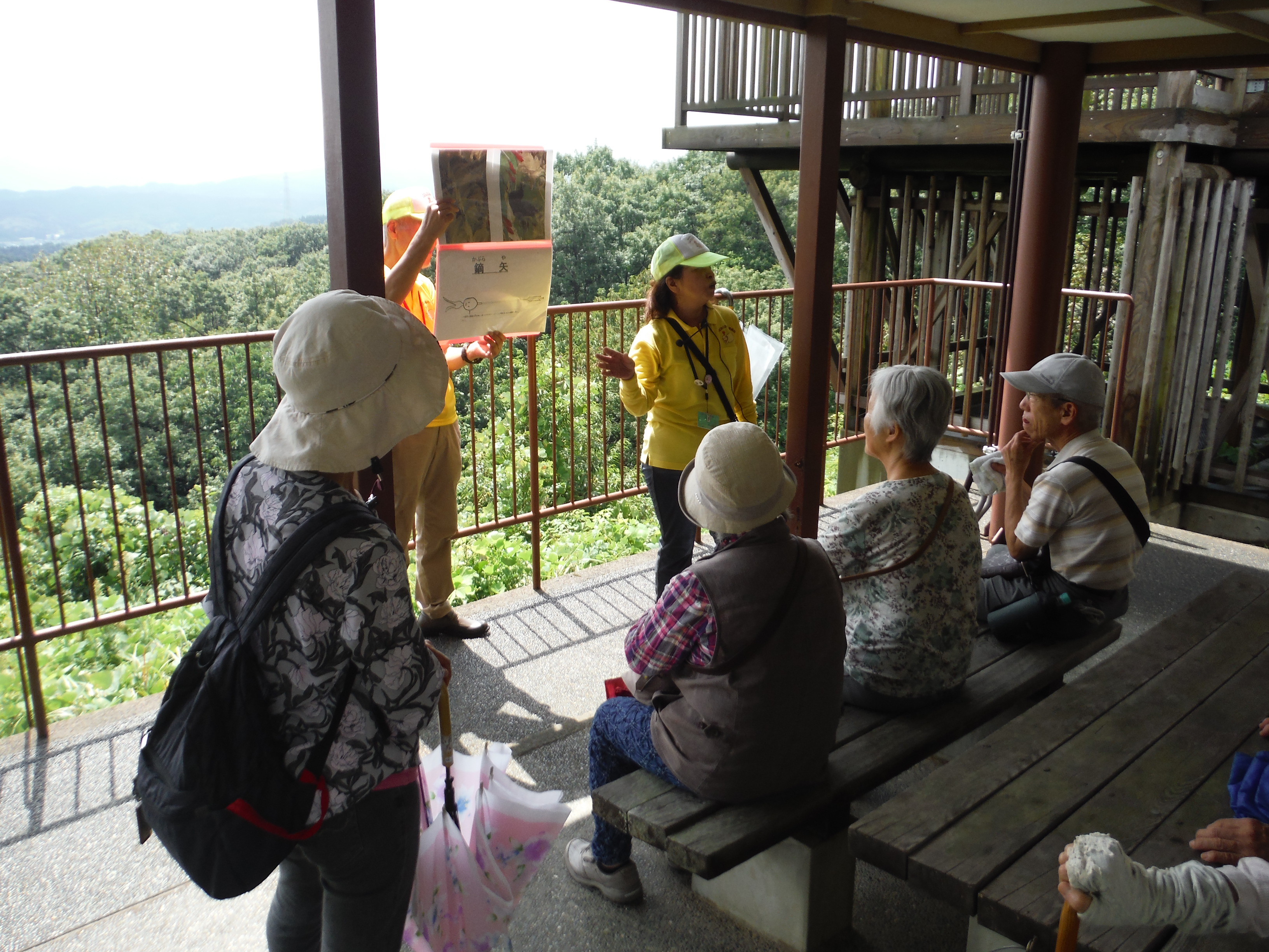 ボランティアガイドの画像2