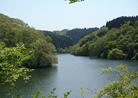 みかど池湖畔コースの写真