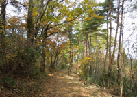 みかど池湖畔コースの写真