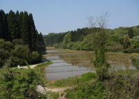 みかど池湖畔コースの写真