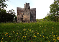 MISIAの森コースの写真
