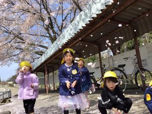 桜