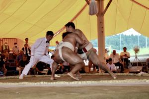 全国選抜社会人相撲選手権大会の写真