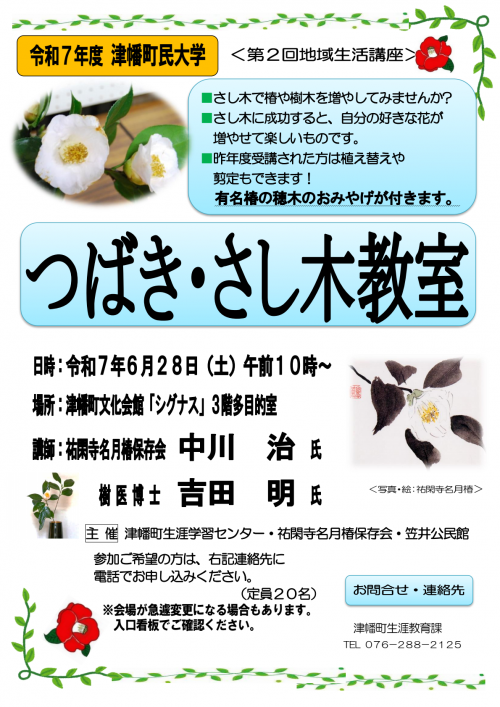 さし木